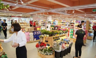 Tăng cường công tác quản lý, điều hành và bình ổn giá